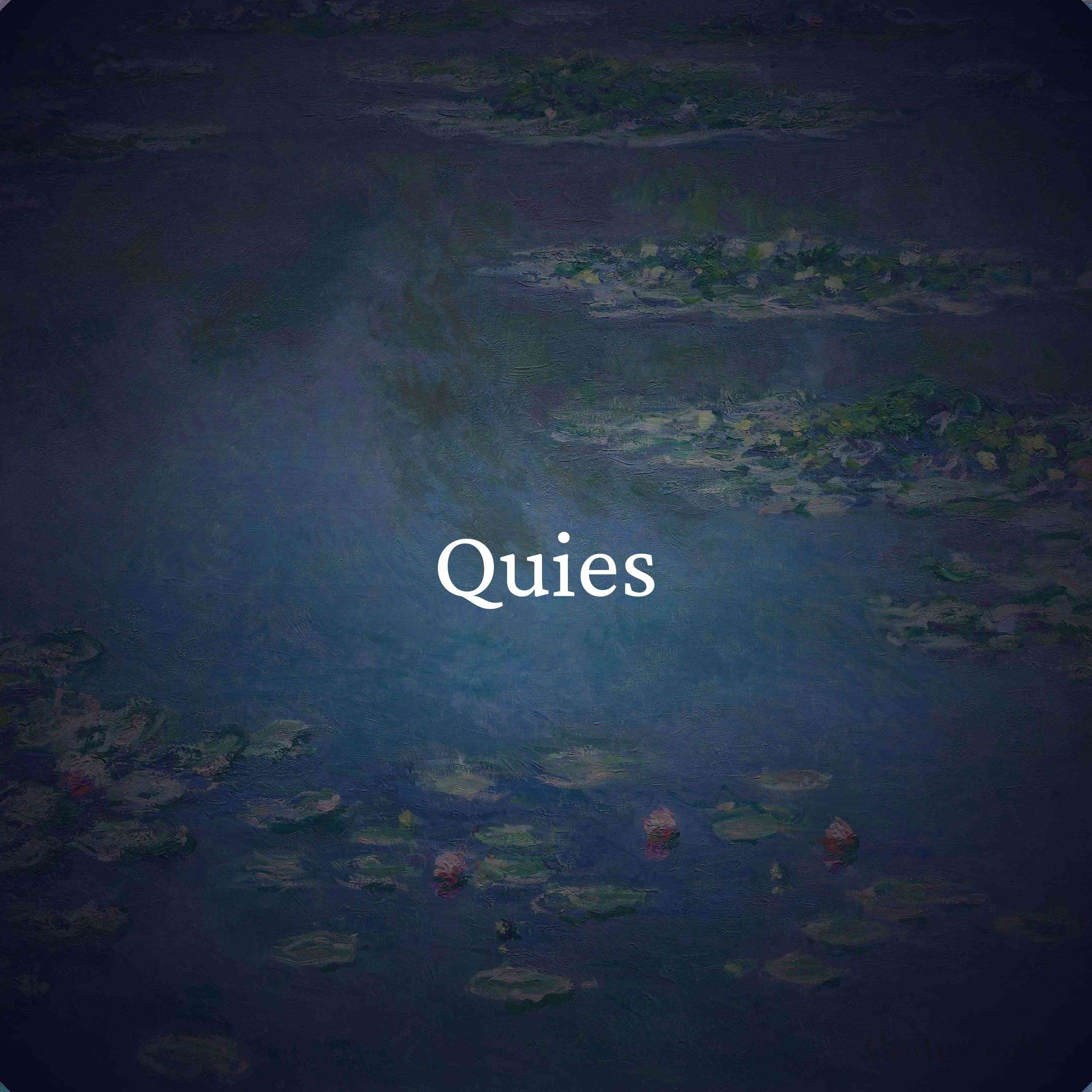 Quies -- Auto-Hypnose IA